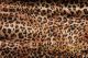 Cheetah Charmeuse Satin Print Fabric