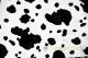 Cow Charmeuse Satin Print Fabric