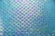 Paradise Mermaid Hologram Spandex Fabric